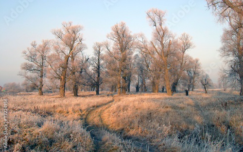 Wallpaper Mural The arrival of winter Torontodigital.ca