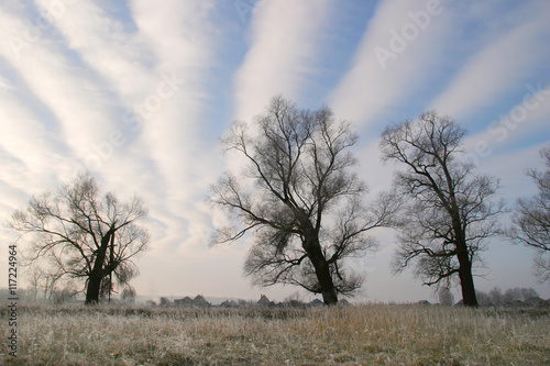 Wallpaper Mural autumn landscape Torontodigital.ca