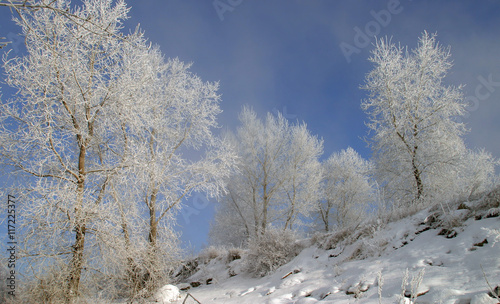 winter landscape © salman2