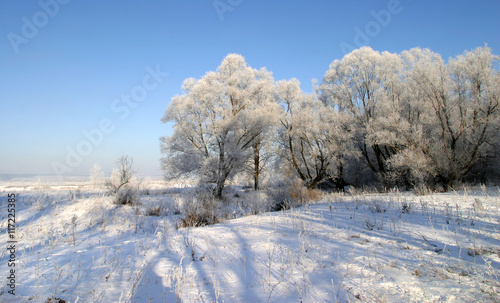 beauty of winter nature