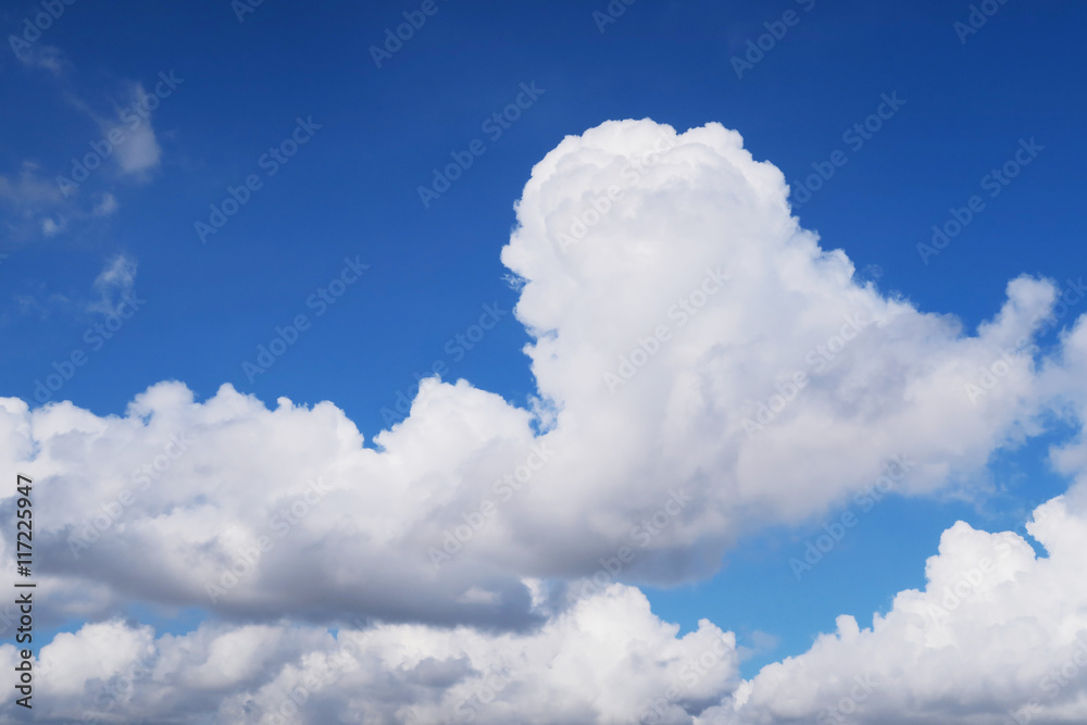 Obraz premium blue sky cloud