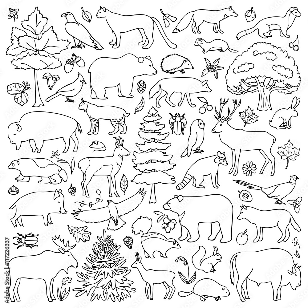 Fototapeta premium Doodle Forest Animals