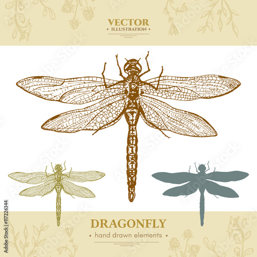 Dragonfly collection vintage style