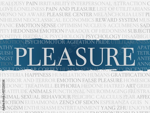 pleasure
