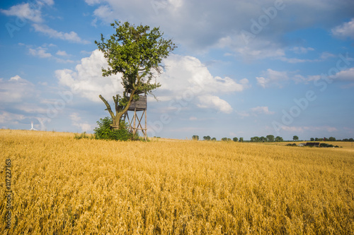 Wieża myśliwska przy samotnym drzewie na polu dojrzałego zboża