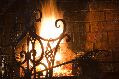fireguard photo