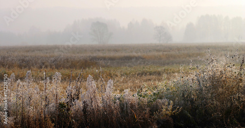 Fototapeta Naklejka Na Ścianę i Meble -  autumn fog