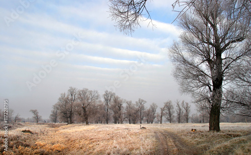 autumn landscape photo