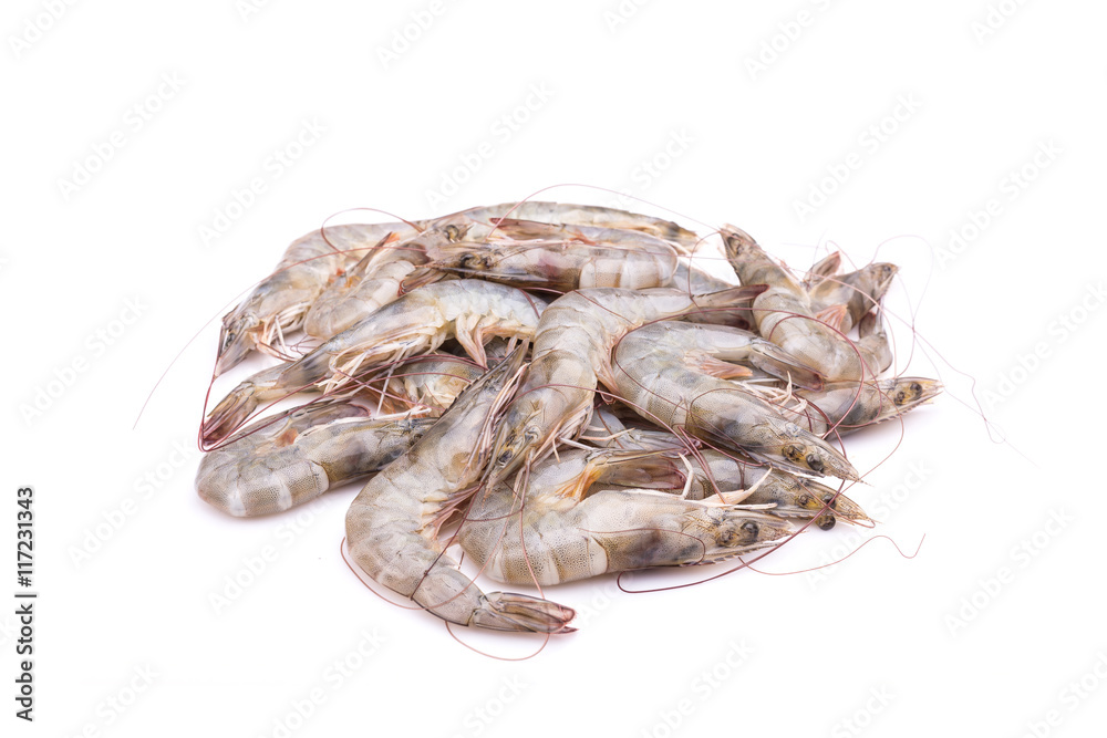 Fresh shrimp isolated on white background Fresh shrimp isolated on white background