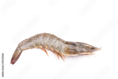 Fresh shrimp isolated on white background © SKT Studio