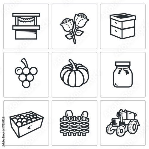 Vector Set of Agriculture Icons. Market, Roses, Beehive, Grapes, Pumpkins, Jam, Fruits, Wicker Fence, Tractor.
