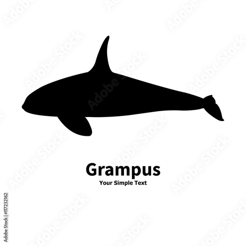 Vector illustration silhouette of killer whales