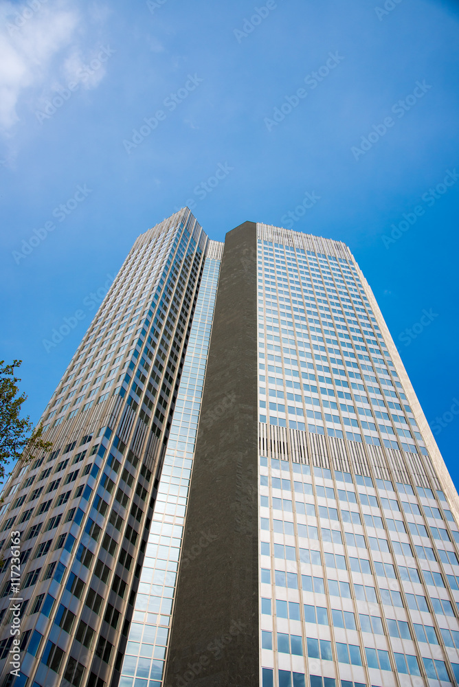 Bottom view of modern skyscrapers in business district