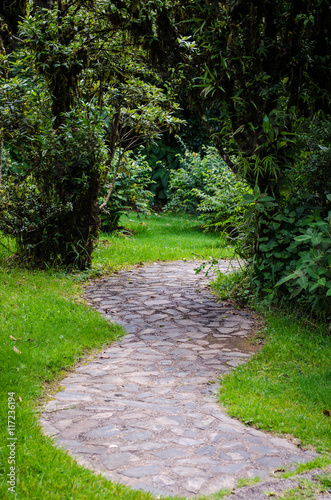 Stone Paved Path in a Tropical Garden