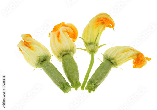 Yellow zucchini blossoms,isolated on white background