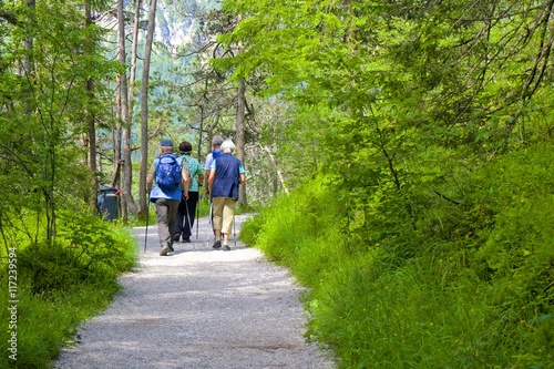 Fototapeta Naklejka Na Ścianę i Meble -  Senioren beim Wandern im Wald. Fitness im Alter