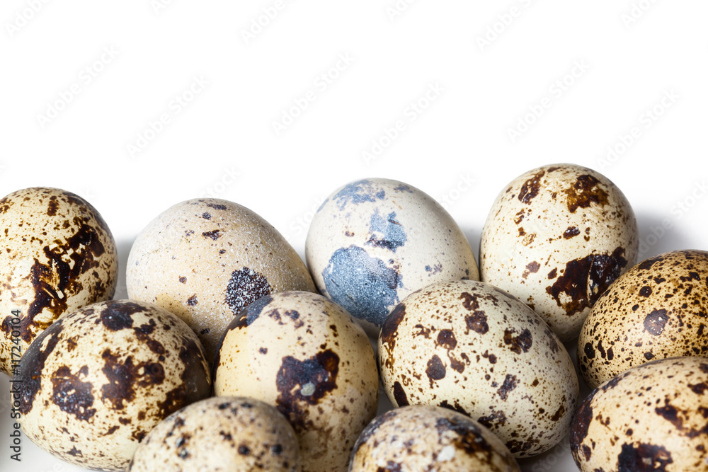 Quail eggs are isolated on a white background Quail eggs are isolated on a white background