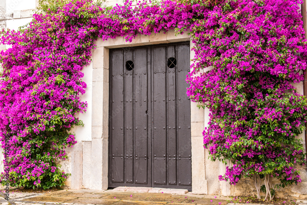 Obraz premium beautiful boungavilla at greek door