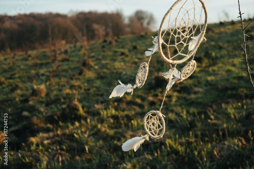 dreamcatcher hanging from a tree in a field at sunset © Vladimir Matskevich