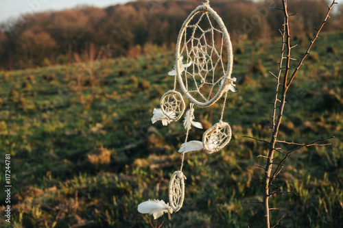 dream catcher hanging from a tree in a field at sunset © Vladimir Matskevich