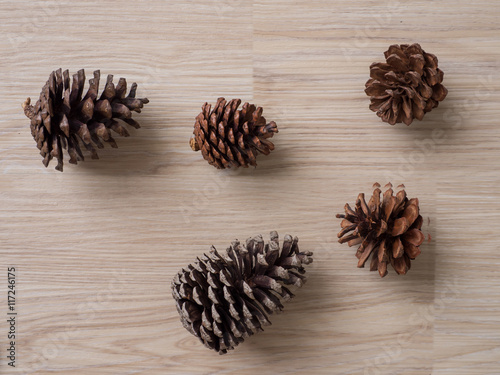 cedar pine cone on wood background