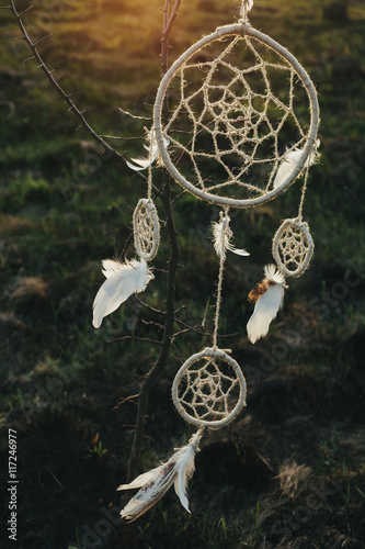 dreamcatcher hanging from a tree in a field at sunsetd