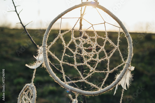 dreamcatcher hanging from a tree in a field at sunset