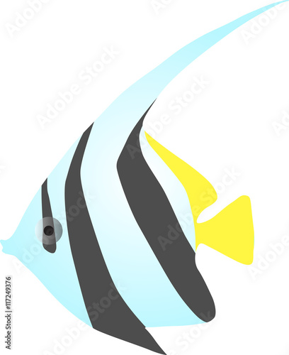 angel fish illustration on white photo