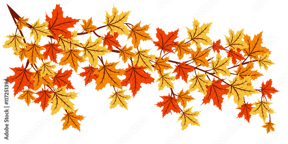 autumn colorful leaves autumn colorful leaves
