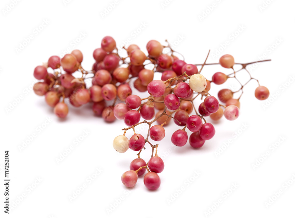 pink peppercorn clusters isolated on white