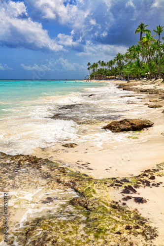 Fototapeta Naklejka Na Ścianę i Meble -  Tropical beach in Caribbean sea, Dominican Republic. Summer beach paradise. Island beach with blue sea water. Sea foam on beach.