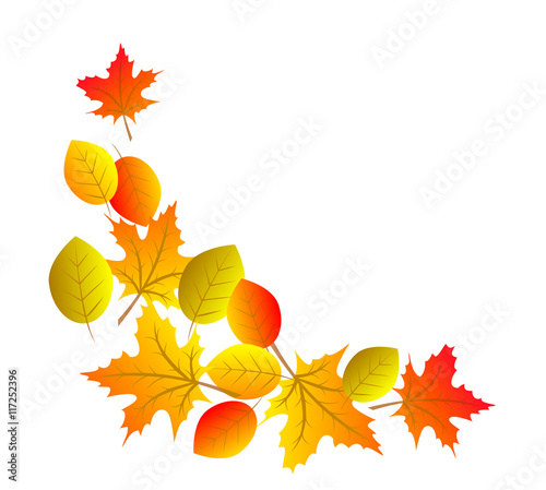 autumn colorful leaves