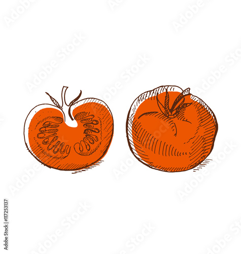 big red tomato. shabby vege...