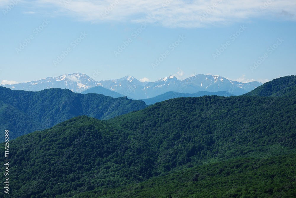 Mountain landscape forest sky summer