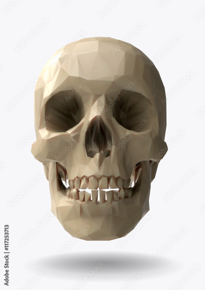 Fototapeta premium Low poly vector skull front view in 3d realistic look