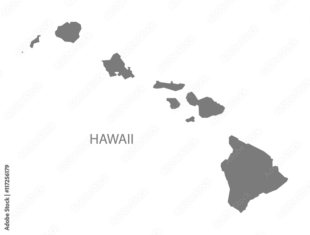 Fototapeta premium Hawaii USA Map grey