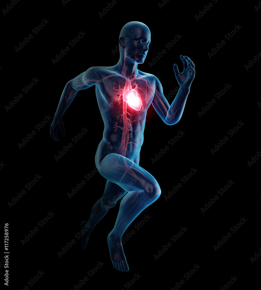 3d rendered medically accurate illustration of heart attack 3d rendered medically accurate illustration of heart attack