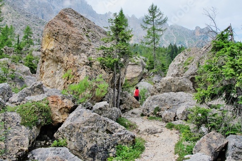 Labyrinthsteig am Latemar, Dolomiten, Südtirol photo