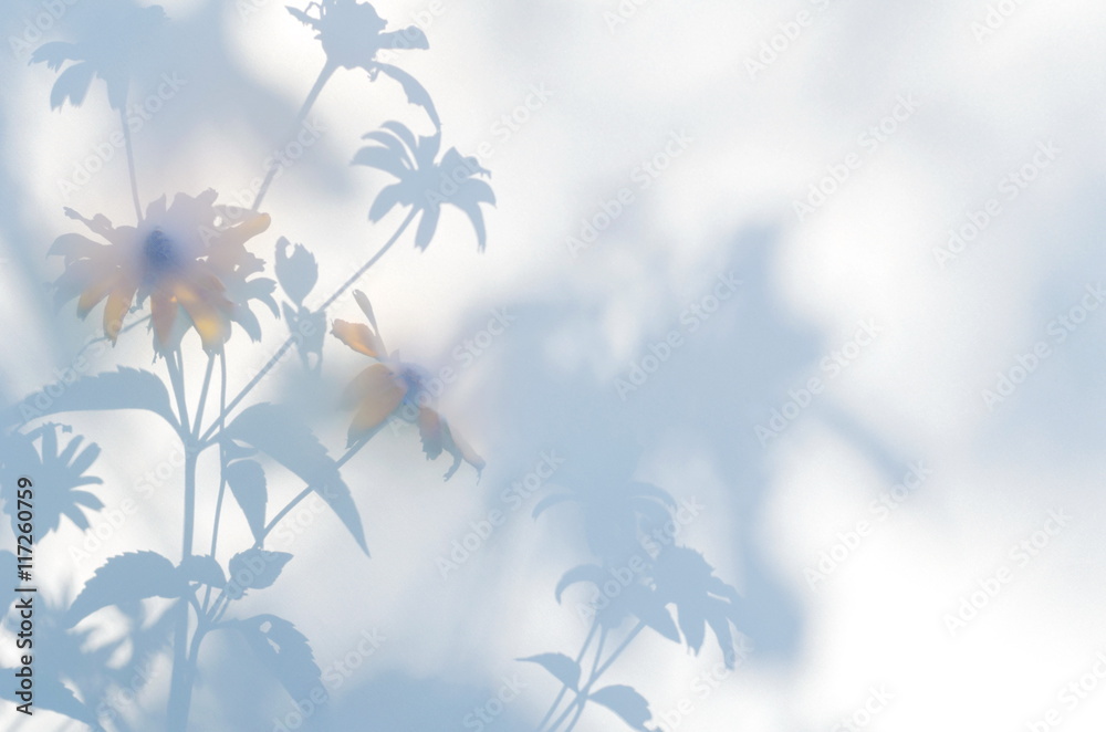 Shadows of flowers on a white semi-transparent cloth - obrazy, fototapety, plakaty 