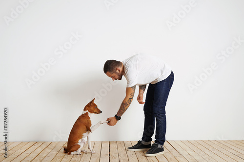 Fototapeta Adult tattoed owner in blank t-shirt trains his dog to give paw