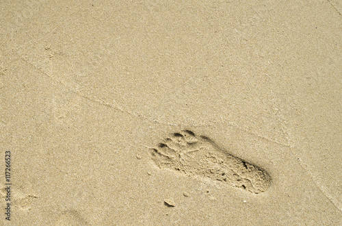 Footprints in wet sand close to sea