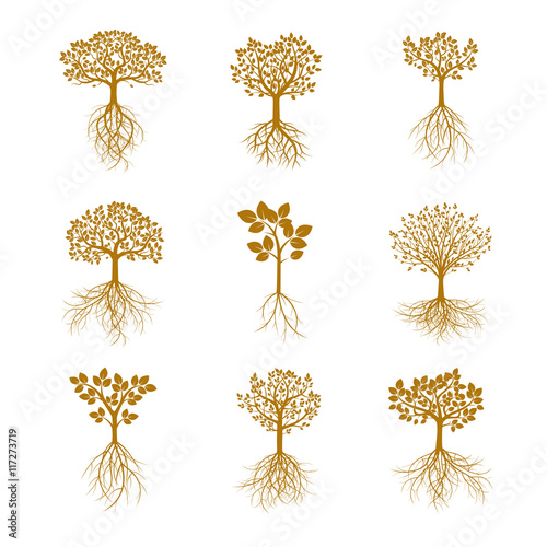 Set Golden Tree and Leafs. Vector Illustration.