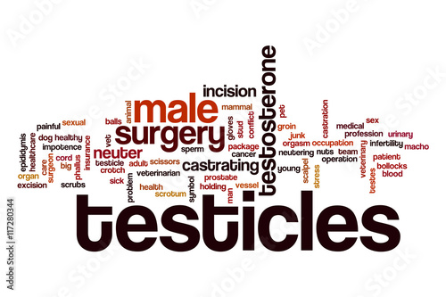 Testicles word cloud concept photo