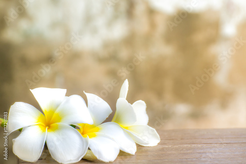 Plumeria (Frangipani) flower on blur background © ginginna