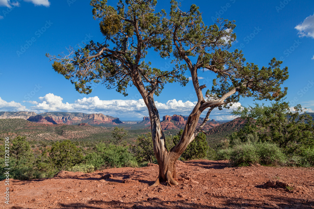 Sedona Arizona Red Rock Landscape Sedona Arizona Red Rock Landscape