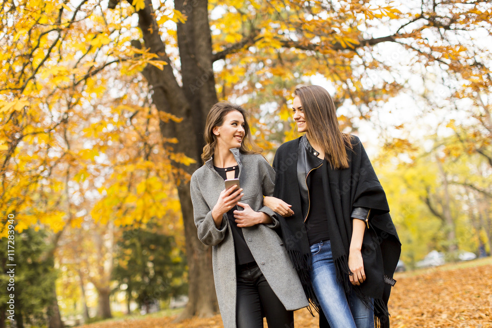 Young women in the autumn park