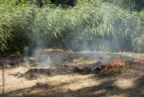 natuurbrand in gemaaid gras en riet