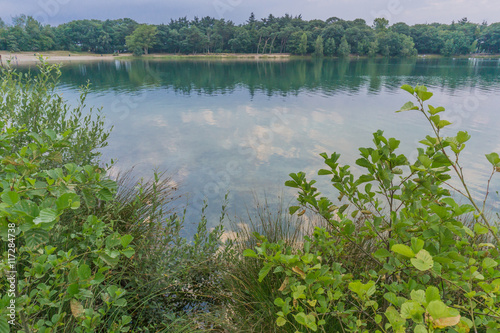 lake landscape bushes view © jaapbleijenberg