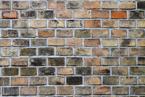 Brick wall