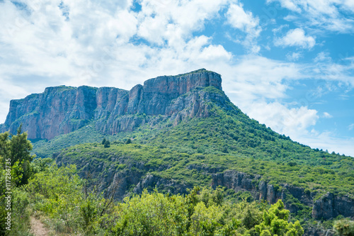 Green mountain with forest